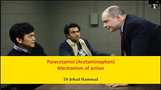 Paracetamol Acetaminophen Mechanism of Action [upl. by Anihta842]