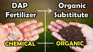 What is dap fertilizer DAP [upl. by Irv]