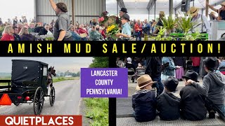 AMISH MUD SALE amp AUCTION Lancaster County Weaverland Valley PA [upl. by Salomon]