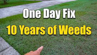 How to Fix an Ugly Lawn  Killing Lawn Weeds [upl. by Nielson]