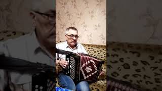 shorts игра на гармонеplaying the accordion [upl. by Fendig]