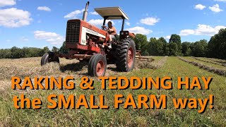 the basics of raking amp tedding hay [upl. by Dlanod883]