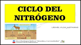 CICLOS BIOGEOQUÍMICOS  CICLO DEL NITRÓGENO [upl. by Emilee]