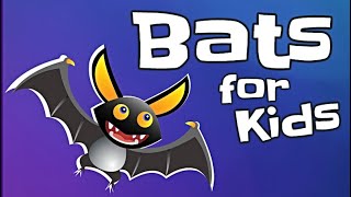 Bats for Kids [upl. by Adrahc]