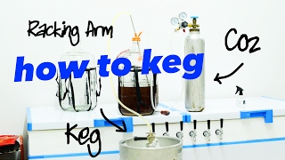 How to Keg with Commercial Sanke Kegs [upl. by Knighton392]