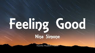 Nina Simone  Feeling Good Lyrics [upl. by Lumbye827]