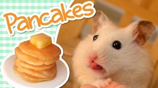 🥞 Pancakes  HAMSTER KITCHEN 🥞 [upl. by Becki]