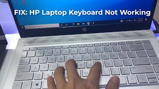 How To Fix HP Laptop Keyboard Not Working in Windows 10 [upl. by Niarb]