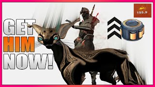 Get the Smeeta Kavat NOW  Warframe [upl. by Frymire]