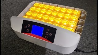 3256 Egg IncubatorDemo [upl. by Akinom]