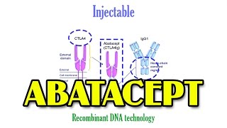 ABATACEPT Simplified  Pharmacology [upl. by Taro]