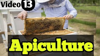 Apiculture  Bee keeping  Part 13 Enhancement of food production class 12 [upl. by Huskey]