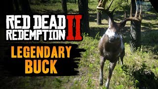 Red Dead Redemption 2 Legendary Animal  Legendary Buck [upl. by Morse303]