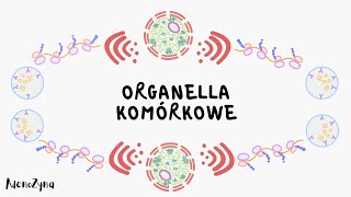 Organella komórkowe [upl. by Selohcin291]