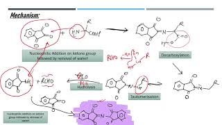 Ninhydrin and Biuret Test [upl. by Dnalyaw]