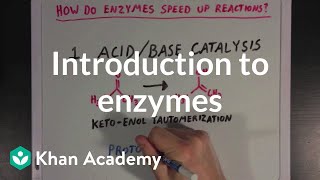 Introduction to enzymes and catalysis  Chemical Processes  MCAT  Khan Academy [upl. by Trout]