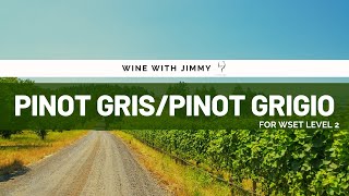 Key Grape Varieties  Pinot GrisPinot Grigio Beginners Version for WSET Level 1 and WSET Level 2 [upl. by Cirek]