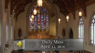 Daily Mass Tuesday 12 April 2016 [upl. by Ahsemrak]