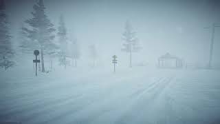 8 Hours Blizzard Sounds amp Howling wind  Winter Storm Sounds  Heavy Snowstorm [upl. by Ratcliff]