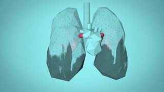 WHO Breathe Life  How air pollution impacts your body [upl. by Losyram]