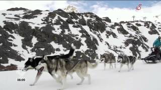 Servus Tv Frühstücksfernsehen live von der Husky Ranch [upl. by Stevana]