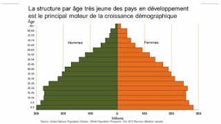 Vignette Démographique Déchiffrer Les Pyramides Des Ages [upl. by Klute231]