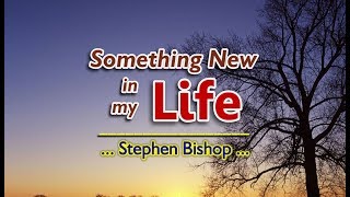 Something New In My Life  Stephen Bishop KARAOKE VERSION [upl. by Eerahc]