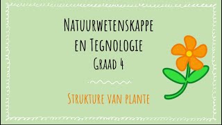 Strukture van plante  Graad 4 [upl. by Bonni]