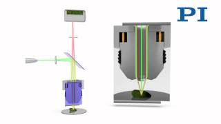 Confocal Microscopy [upl. by Astiram34]