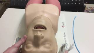 How to Intubate Manual Laryngoscopy [upl. by Ahsienet777]