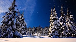 Christmas music Christmas instrumental Music quotLet It Snowquot by Tim Janis [upl. by Gnahc]