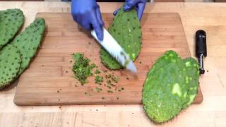 How to Prepare Nopales Cactus Pads  Sunset [upl. by Anilram]