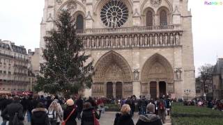 All bells ringing at Notre Dame Cathedral in Paris [upl. by Ellasal]