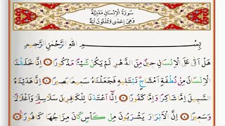 Surah Ad Dahr  Saad Al Ghamdi surah al insan with Tajweed [upl. by Assirok881]