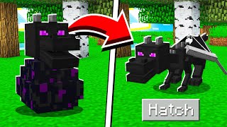 How to HATCH the ENDER DRAGON EGG in Minecraft Tutorial [upl. by Ardnuahc691]