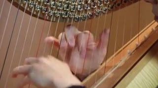 De Instrumenten Uit Het Orkest Harp  Orkest van het Oosten [upl. by Eadwina]