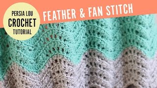 How to Make the Feather and Fan Crochet Stitch [upl. by Rambert174]