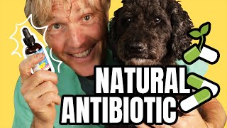 Natural Antibiotics to PREVENT and TREAT Infection [upl. by Tran297]