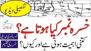 What is khasra number in Property – Khasra Number kia hota hai in Urdu  Hindi [upl. by Aribold838]