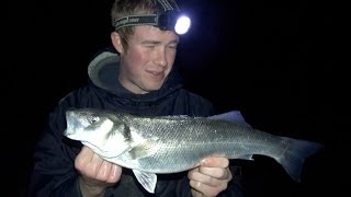 Sea Fishing For Bass With Fresh Peeler Crab [upl. by Torrell]