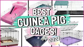 The 6 BEST Indoor Guinea Pig Cages [upl. by Demott]