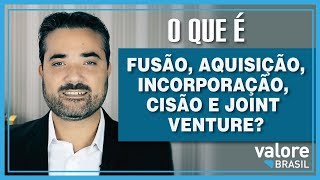 O que é fusão aquisição incorporação cisão e joint venture de empresas [upl. by Aikin]