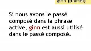 Le Passif Leçon de luxembourgeois [upl. by Rollet]