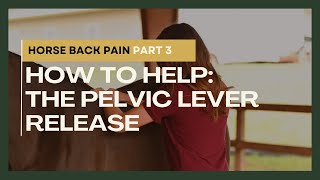 Horse Back Pain Part 3 How to Help The Pelvic Lever Release [upl. by Boles]