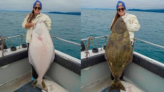 MASSIVE Halibuts Alaska Fishing Catch Clean amp Cook [upl. by Ytinirt220]