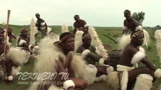 Celebrating Zulu Heritage Through Tribal Dance [upl. by Drake]