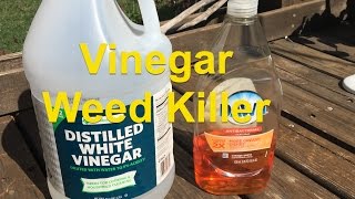 Vinegar and Dish Soap Weed Killer [upl. by Nnylaj]