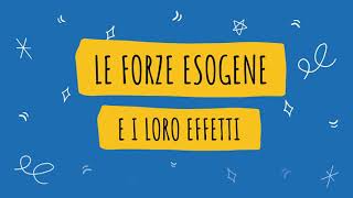 LE FORZE ESOGENE [upl. by Ahseer368]