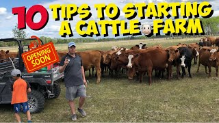 Starting a Beef Cattle Farm 10 TIPS for beginners to start a Cattle Ranch [upl. by Singband]