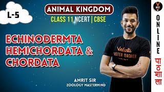 Echinodermata Hemichordata and Chordata  Animal Kingdom CBSE Class 11 Biology Chapter 4NEET 2020 [upl. by Esinert]